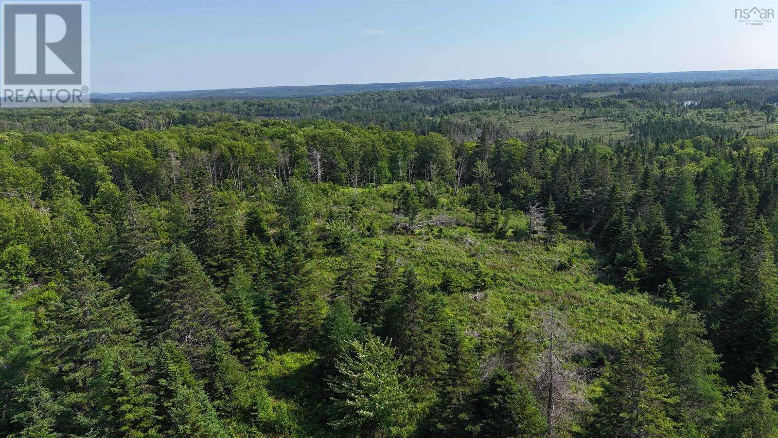 139 Acres Shaws Road, Lewis Cove Road, Nova Scotia  B0E 3B0 - Photo 14 - 202620722