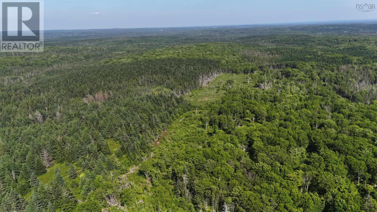 139 Acres Shaws Road, Lewis Cove Road, Nova Scotia  B0E 3B0 - Photo 2 - 202620722
