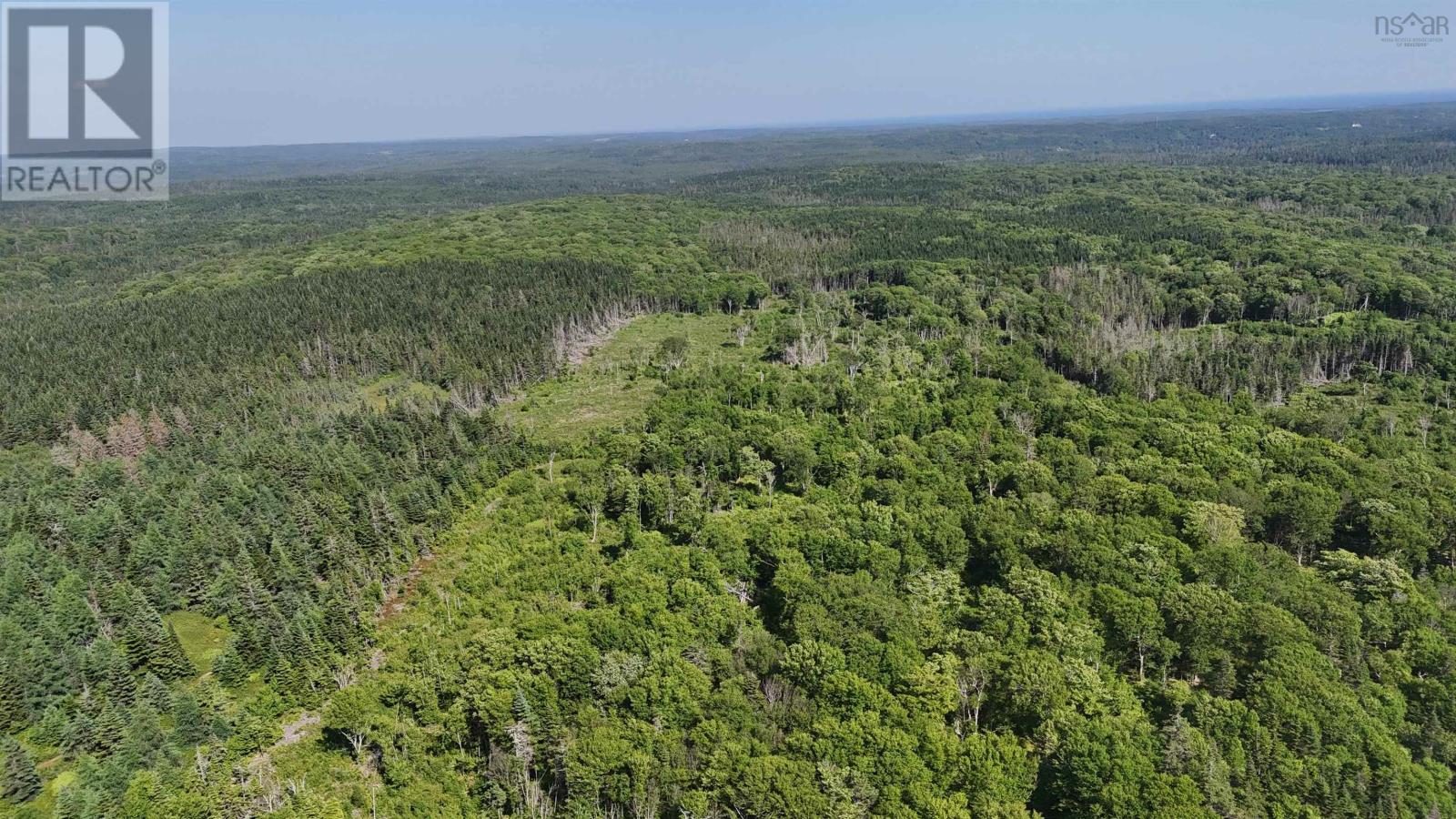 139 Acres Shaws Road, Lewis Cove Road, Nova Scotia  B0E 3B0 - Photo 5 - 202620722