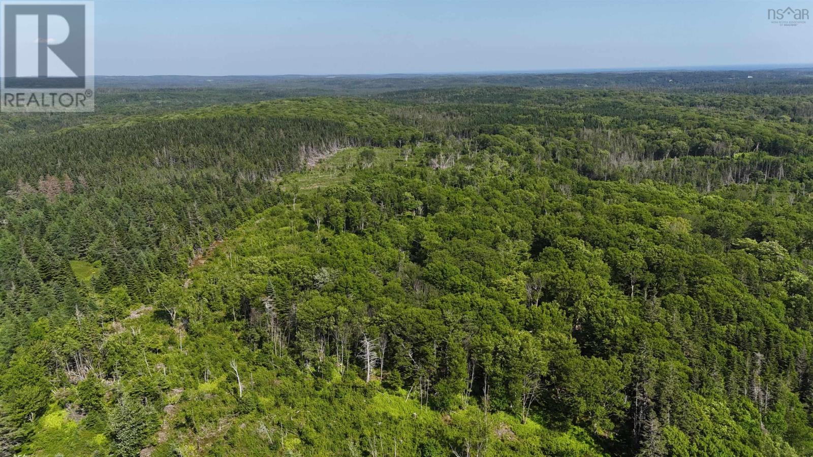 139 Acres Shaws Road, Lewis Cove Road, Nova Scotia  B0E 3B0 - Photo 6 - 202620722