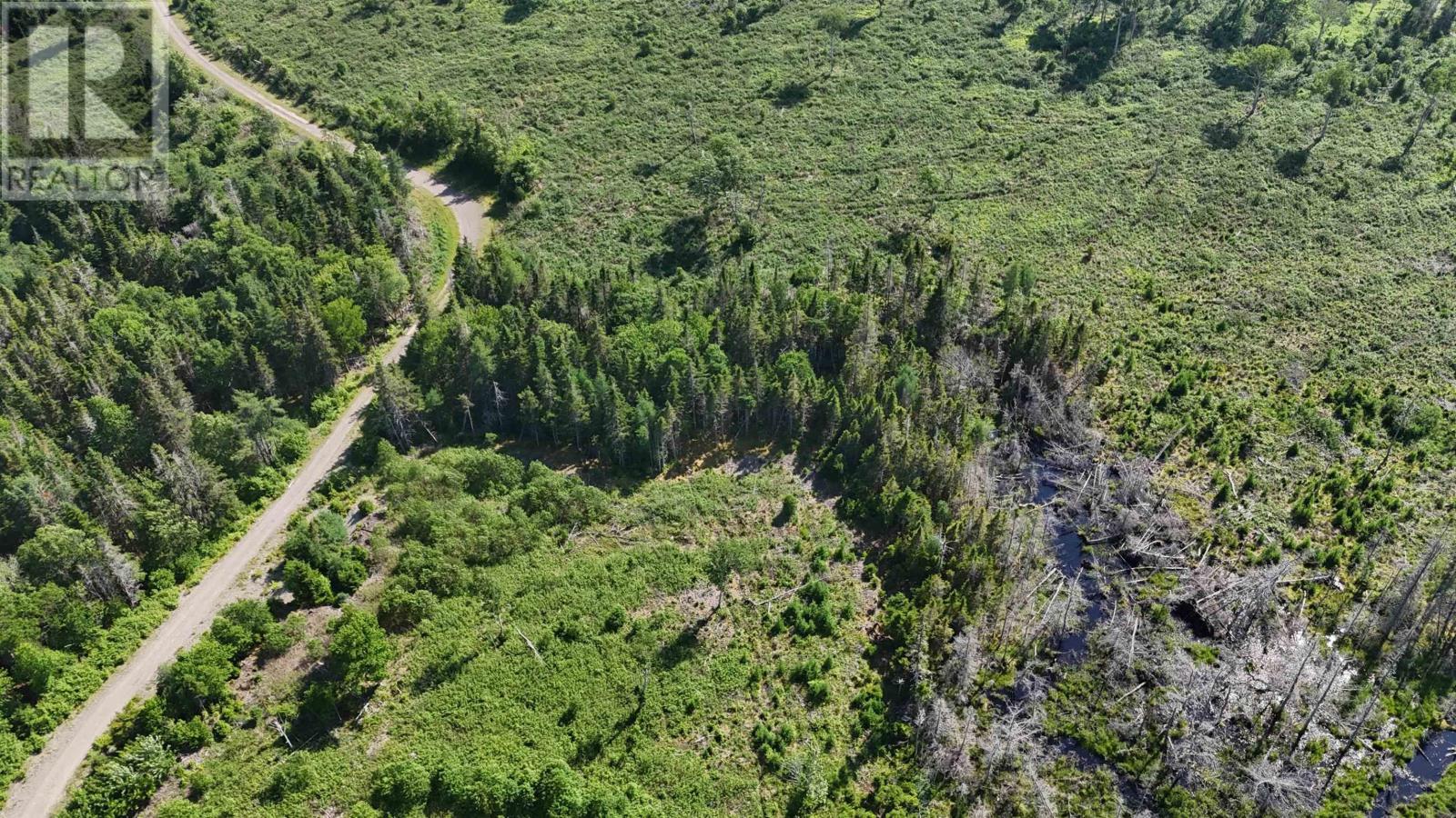139 Acres Shaws Road, Lewis Cove Road, Nova Scotia  B0E 3B0 - Photo 9 - 202620722