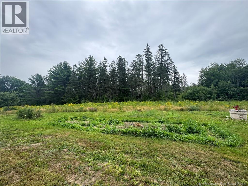 . Upper Waweig Road, Waweig, New Brunswick  E3L 4N5 - Photo 37 - NB146009