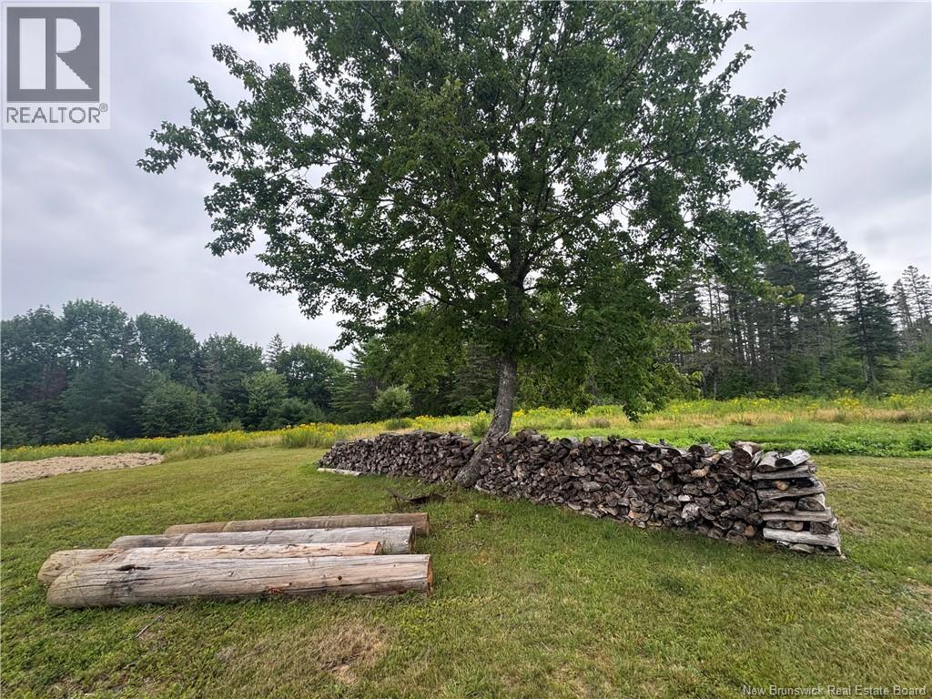 . Upper Waweig Road, Waweig, New Brunswick  E3L 4N5 - Photo 35 - NB146009