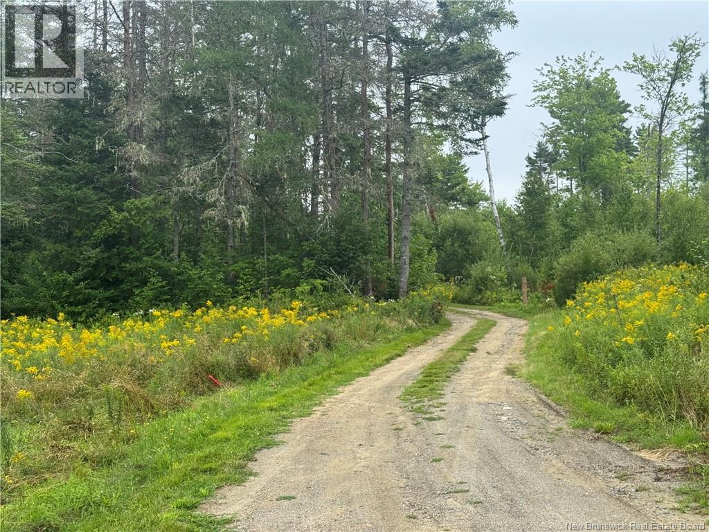 . Upper Waweig Road, Waweig, New Brunswick  E3L 4N5 - Photo 39 - NB146009