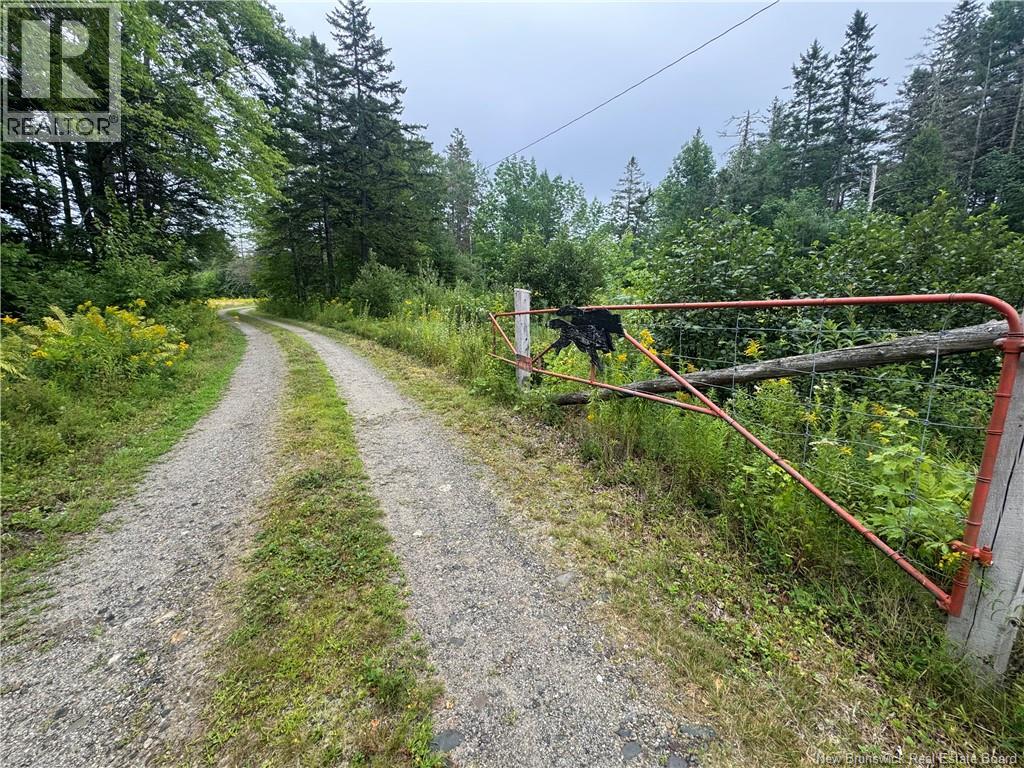 . Upper Waweig Road, Waweig, New Brunswick  E3L 4N5 - Photo 41 - NB146009
