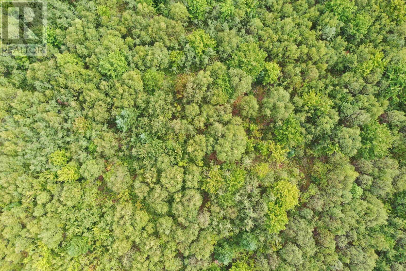 Lot 19 Acres+- Wallace Road, Hazel Glen, Nova Scotia  B0K 2A0 - Photo 18 - 202619442