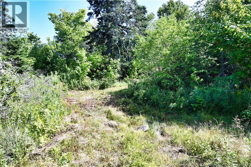 Lot 85-84 Bunker Hill Road, Wilsons Beach, New Brunswick  E5E 1Z3 - Photo 11 - NB146045