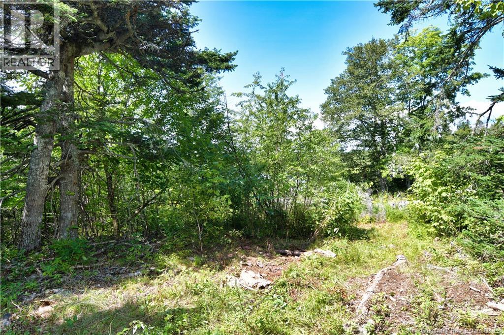 Lot 85-84 Bunker Hill Road, Wilsons Beach, New Brunswick  E5E 1Z3 - Photo 12 - NB146045