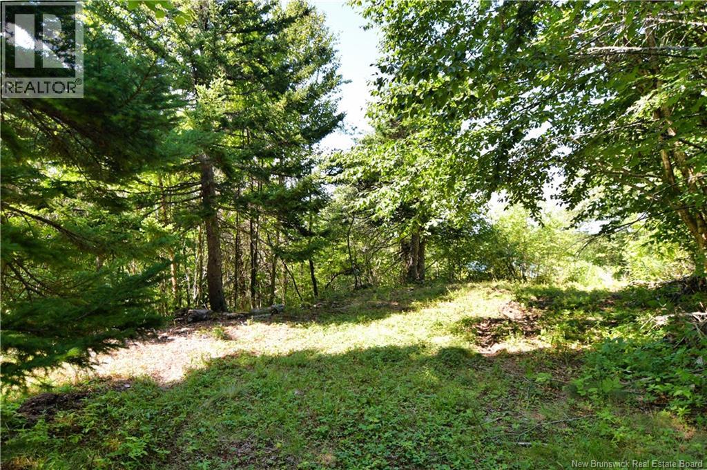 Lot 85-84 Bunker Hill Road, Wilsons Beach, New Brunswick  E5E 1Z3 - Photo 13 - NB146045