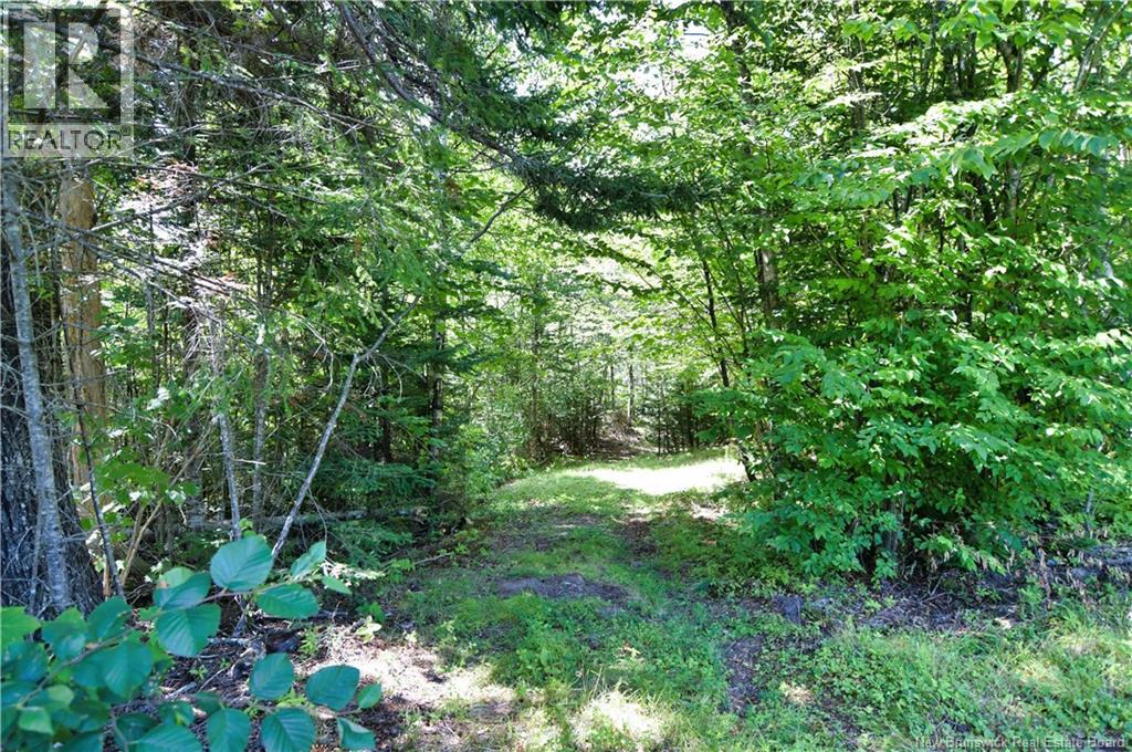 Lot 85-84 Bunker Hill Road, Wilsons Beach, New Brunswick  E5E 1Z3 - Photo 14 - NB146045
