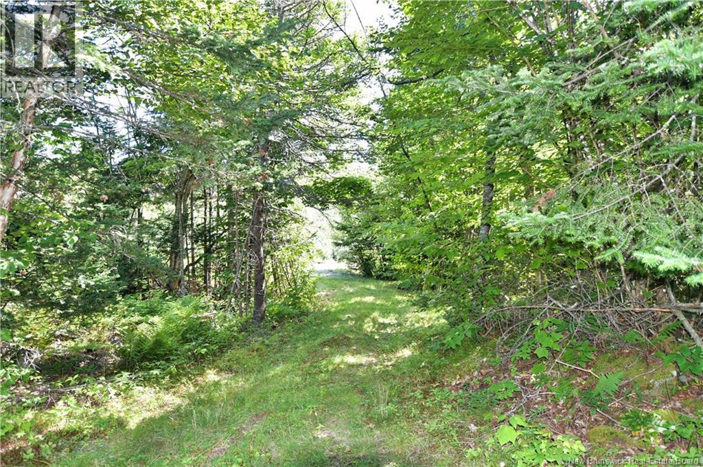 Lot 85-84 Bunker Hill Road, Wilsons Beach, New Brunswick  E5E 1Z3 - Photo 5 - NB146045