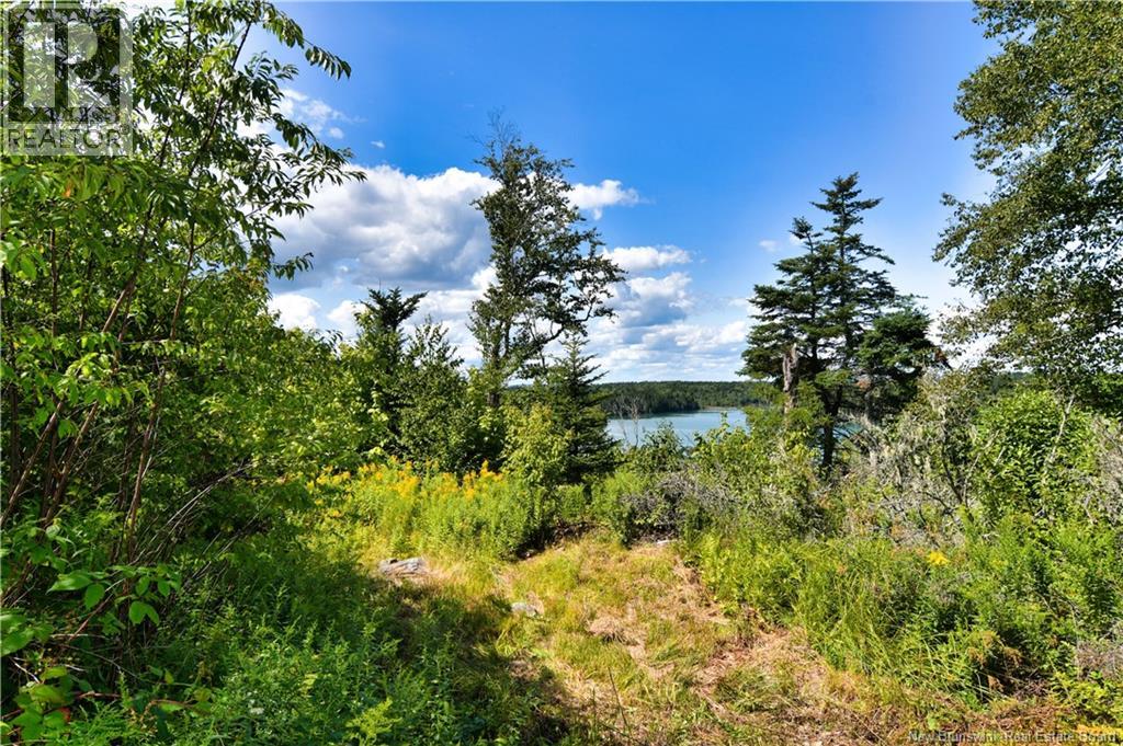 Lot 85-84 Bunker Hill Road, Wilsons Beach, New Brunswick  E5E 1Z3 - Photo 7 - NB146045