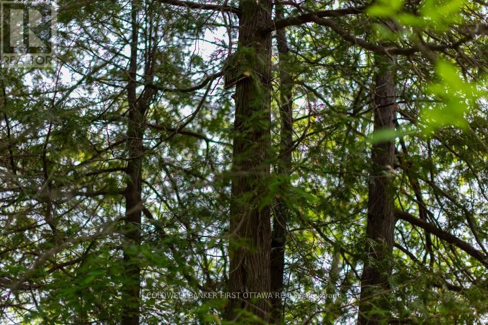 Pt Lt 1 Con 11 Road, Drummond/north Elmsley, Ontario  K0G 1A0 - Photo 8 - X13521754