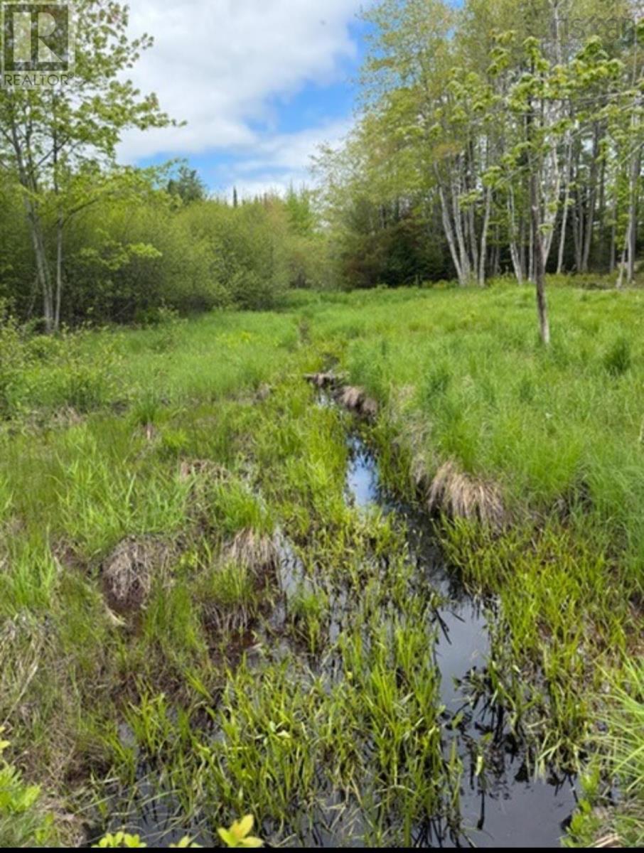 741 Westfield Road, Westfield, Nova Scotia  B0T 1B0 - Photo 18 - 202528497
