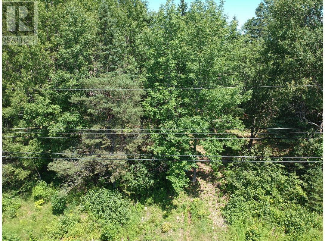 6908 Highway 12, Aldersville, Nova Scotia  B0J 2M0 - Photo 10 - 202529073