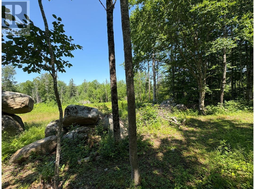 6908 Highway 12, Aldersville, Nova Scotia  B0J 2M0 - Photo 16 - 202529073