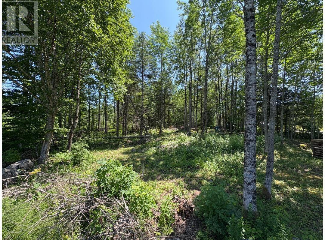 6908 Highway 12, Aldersville, Nova Scotia  B0J 2M0 - Photo 17 - 202529073