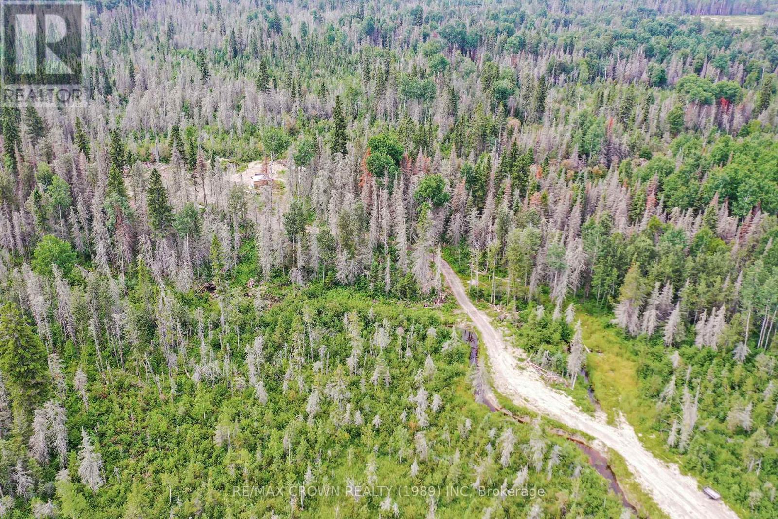 411 Highway 11, Smooth Rock Falls, Ontario  P0L 2B0 - Photo 13 - T13681798