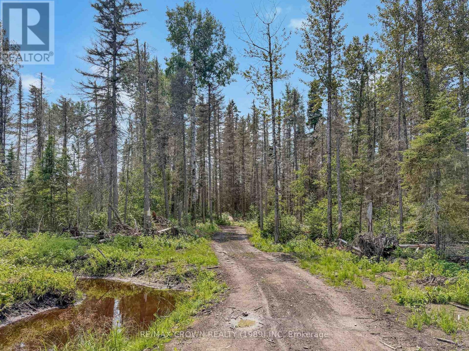 411 Highway 11, Smooth Rock Falls, Ontario  P0L 2B0 - Photo 20 - T13681798
