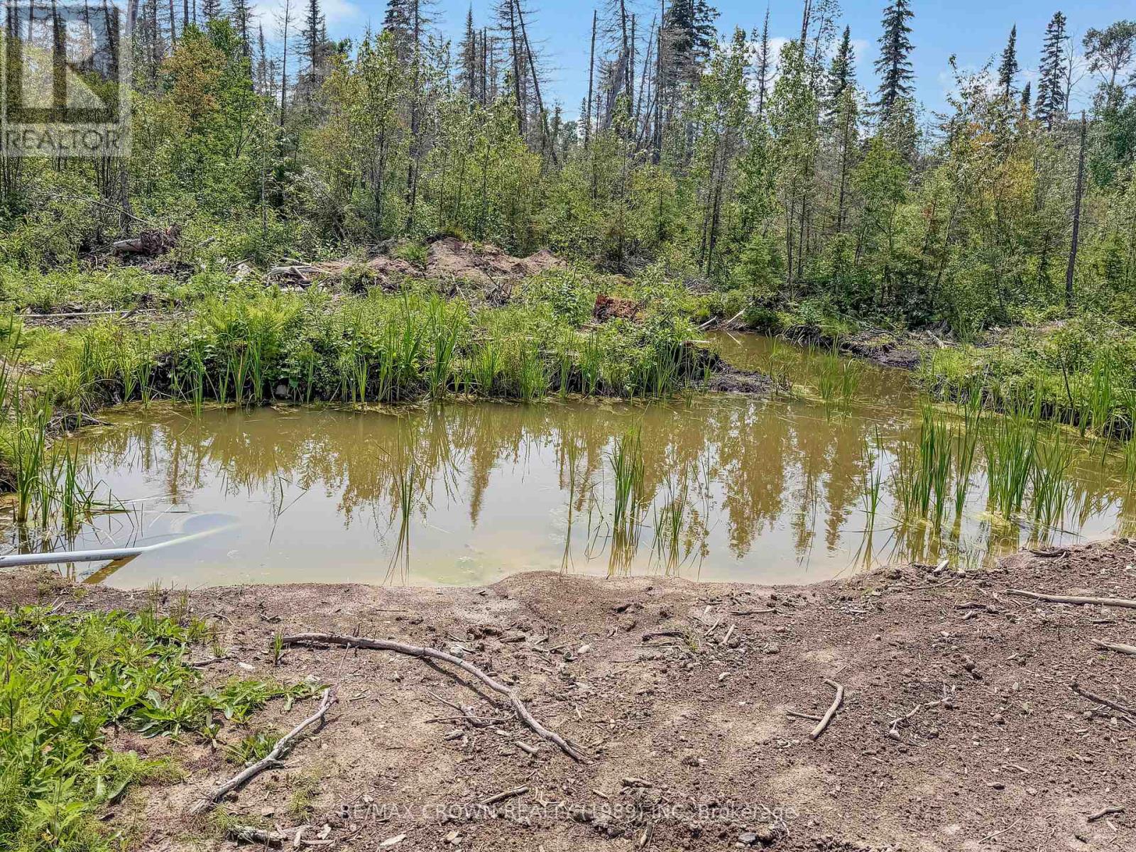411 Highway 11, Smooth Rock Falls, Ontario  P0L 2B0 - Photo 25 - T13681798