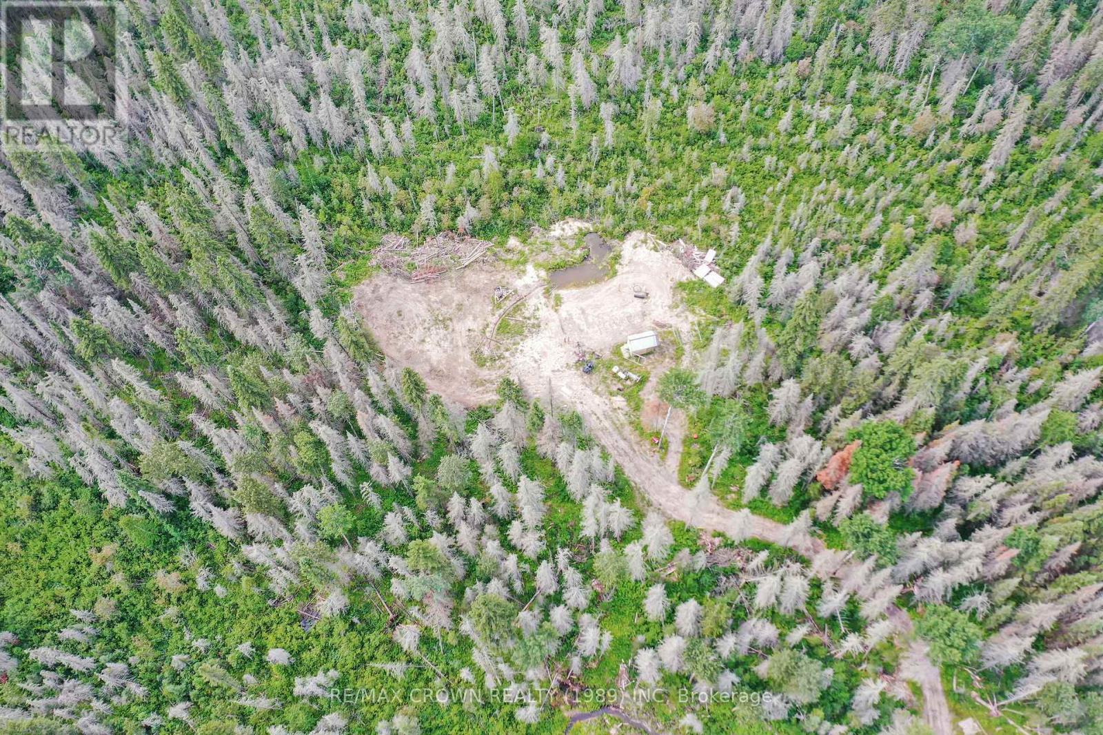 411 Highway 11, Smooth Rock Falls, Ontario  P0L 2B0 - Photo 8 - T13681798
