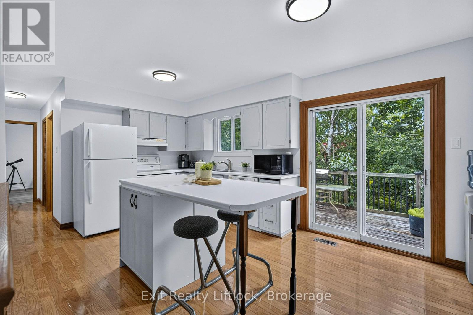3 Basswood Street, Kawartha Lakes, Ontario  K0L 2W0 - Photo 10 - X13682106