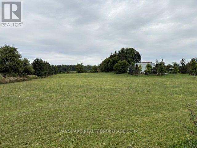 3522 Line 4 Line, Bradford West Gwillimbury, Ontario L3Z 0Y6 - Photo 4 - N13681912