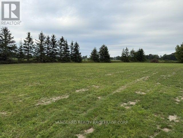 3522 Line 4 Line, Bradford West Gwillimbury, Ontario L3Z 0Y6 - Photo 6 - N13681912