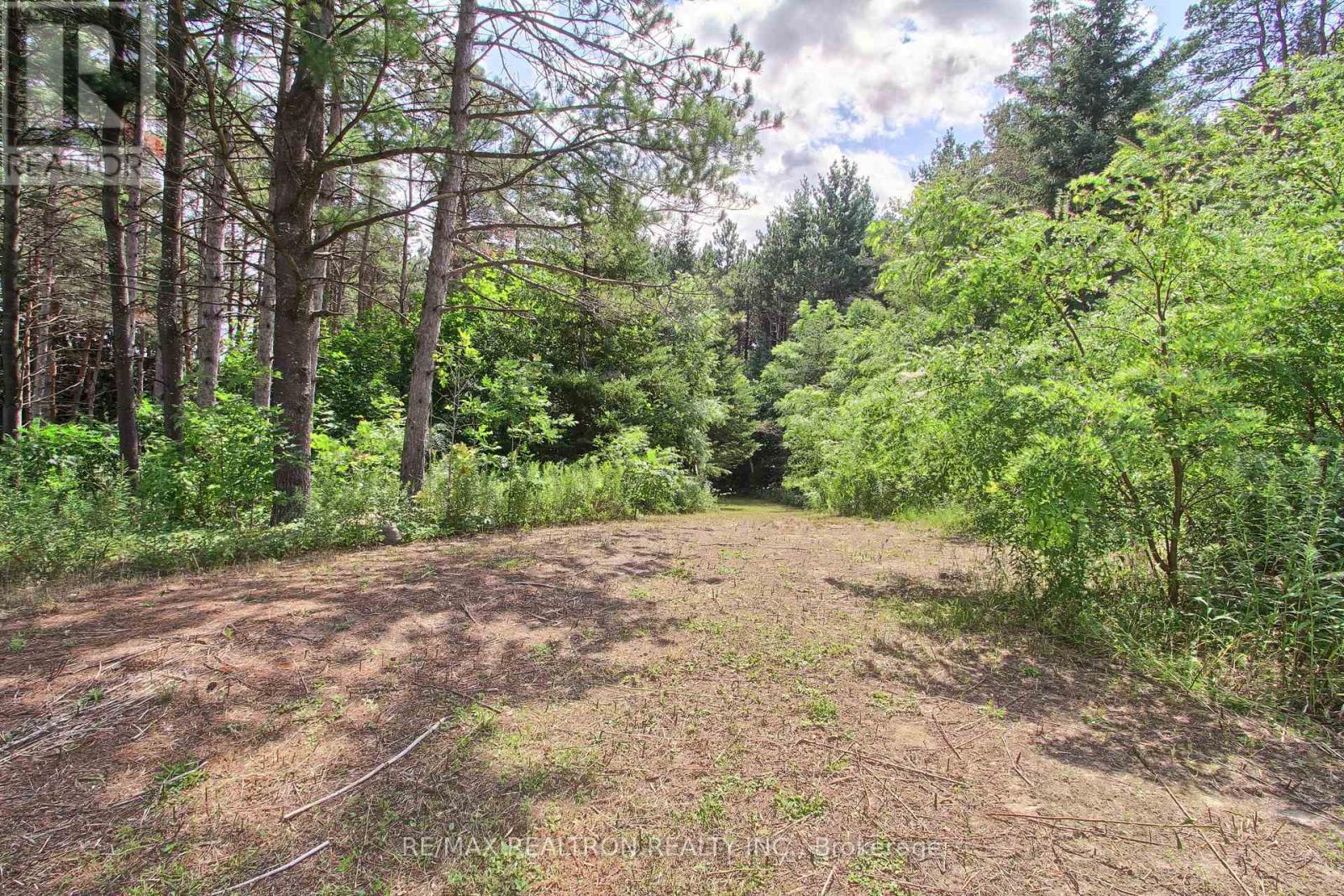 3433 Mount Albert Road, East Gwillimbury, Ontario  L0G 1V0 - Photo 46 - N13681906