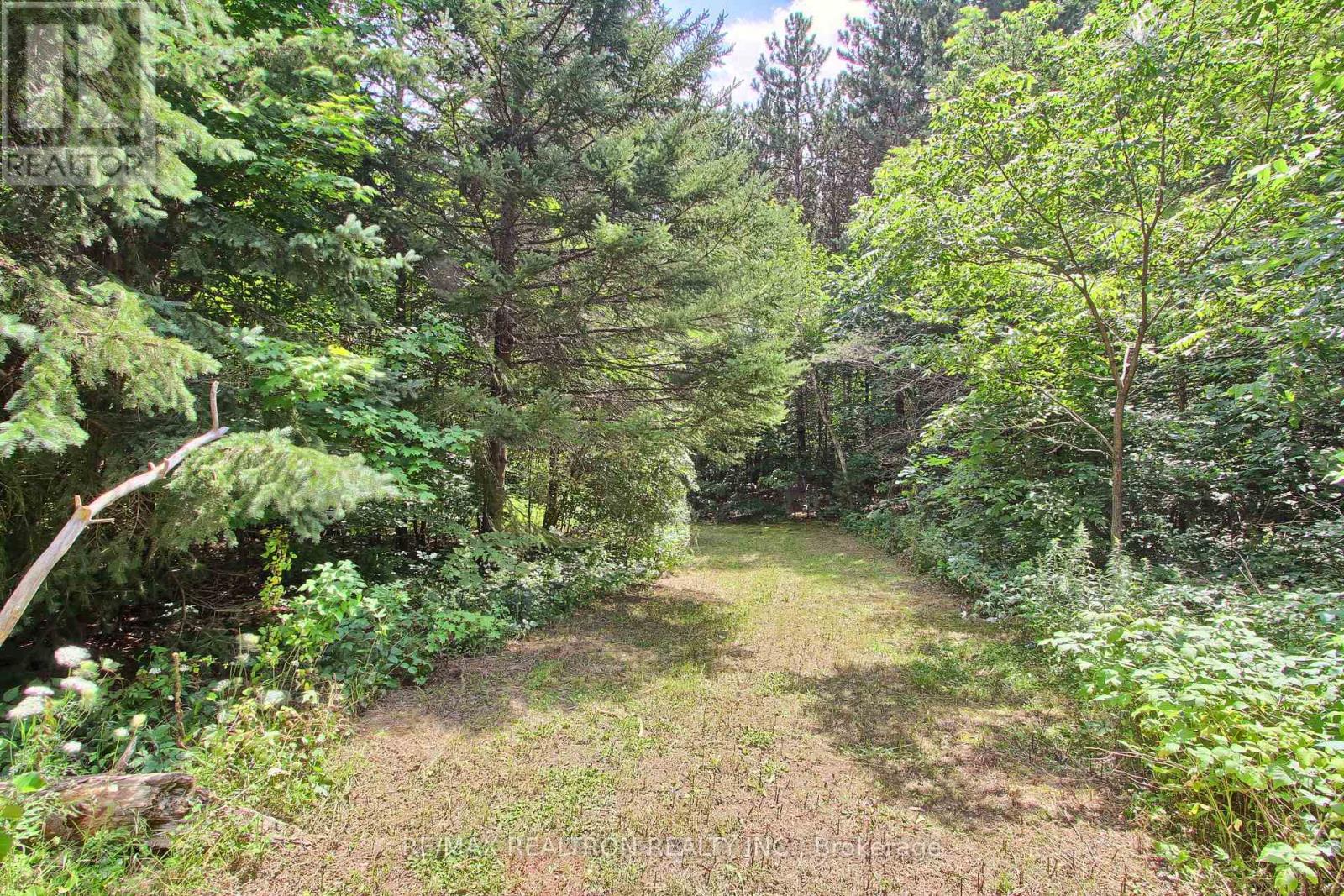 3433 Mount Albert Road, East Gwillimbury, Ontario  L0G 1V0 - Photo 47 - N13681906