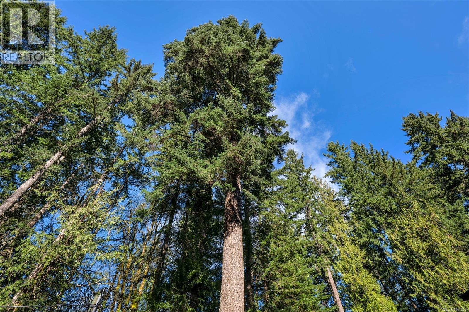 8965 Meades Creek Rd, Lake Cowichan, British Columbia  V0R 2G0 - Photo 12 - 1047057