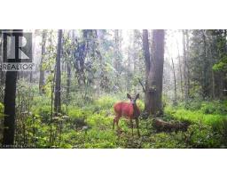6492 10TH Line, Harriston, Ontario