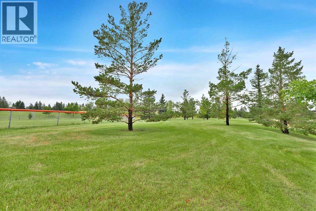 picture 43
