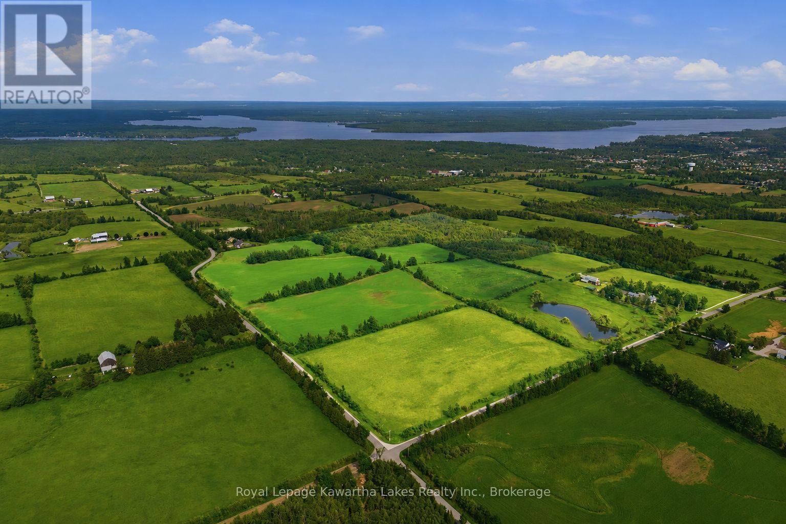 136 Oliver's Road, Kawartha Lakes, Ontario  K0M 1A0 - Photo 3 - X13473184