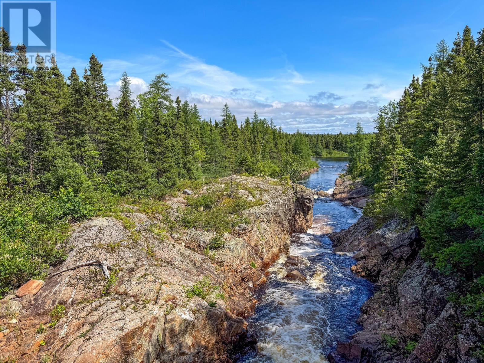 0 Rodney Pond Resource Road, Rodney Pond / Gambo, Newfoundland & Labrador  A0G 1T0 - Photo 14 - 1301062