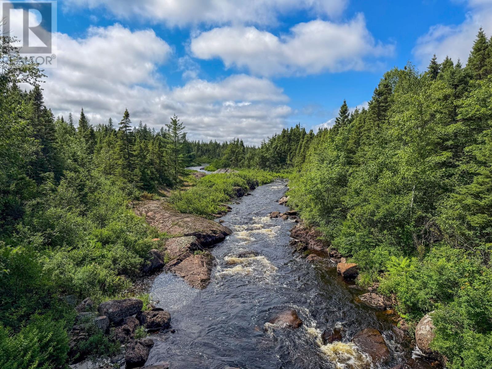 0 Rodney Pond Resource Road, Rodney Pond / Gambo, Newfoundland & Labrador  A0G 1T0 - Photo 45 - 1301062