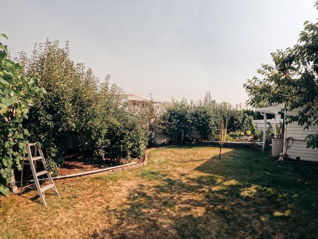46669 Ramona Drive, Chilliwack Proper South, Chilliwack, British Columbia  V2P 8B4 - Photo 19 - R3153768