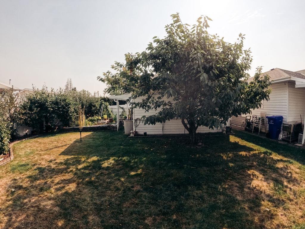 46669 Ramona Drive, Chilliwack Proper South, Chilliwack, British Columbia  V2P 8B4 - Photo 20 - R3153768