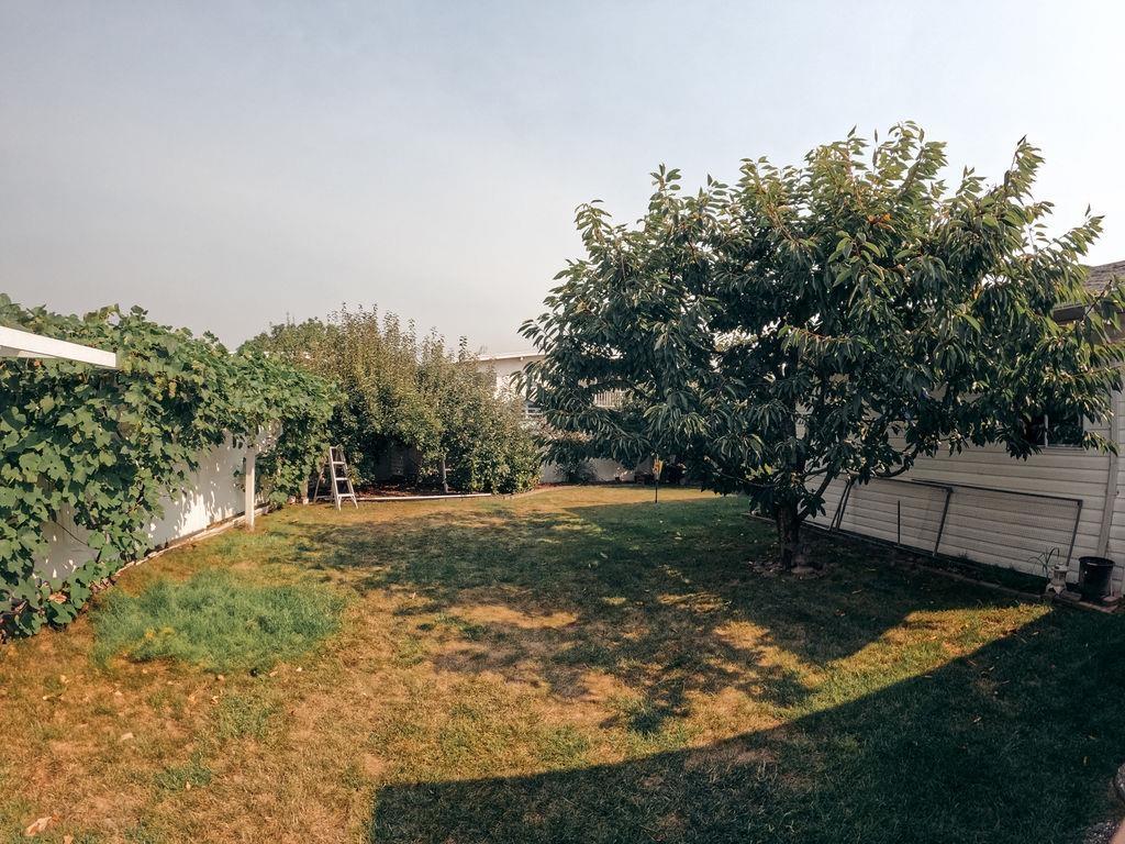 46669 Ramona Drive, Chilliwack Proper South, Chilliwack, British Columbia  V2P 8B4 - Photo 18 - R3153768