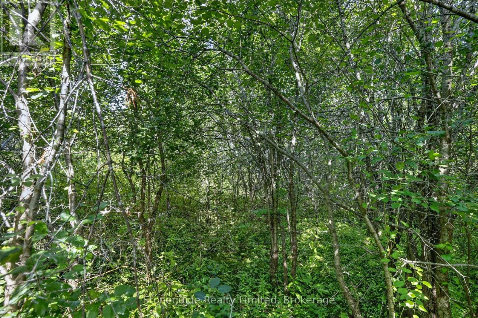 263 Eastwood Road, Selwyn, Ontario  K9J 6X3 - Photo 45 - X13682172