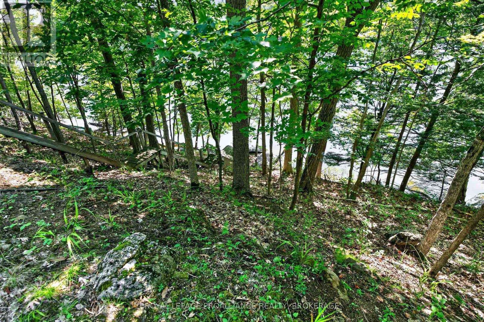 20 Porcupine Island, Frontenac, Ontario  K0H 2L0 - Photo 34 - X13682226