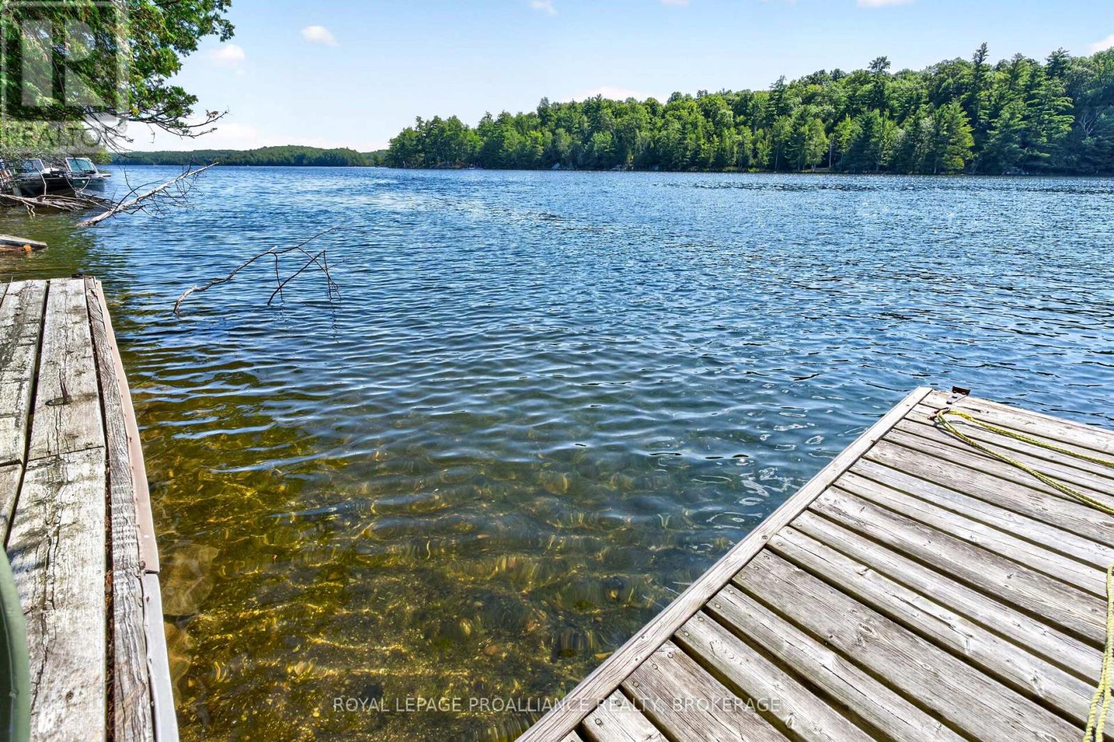 20 Porcupine Island, Frontenac, Ontario  K0H 2L0 - Photo 38 - X13682226