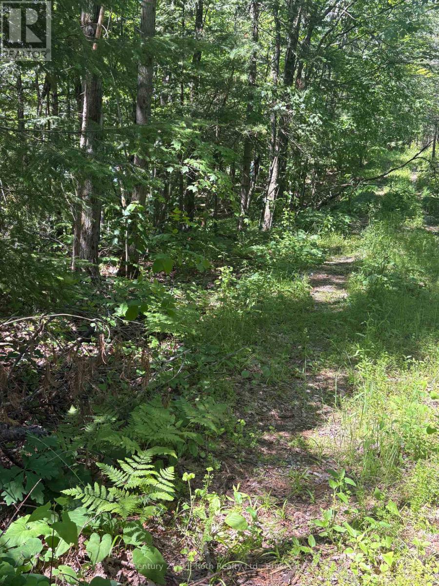 2 - 1112 Sam Cook Road, Gravenhurst, Ontario  P1P 1R3 - Photo 37 - X13122590