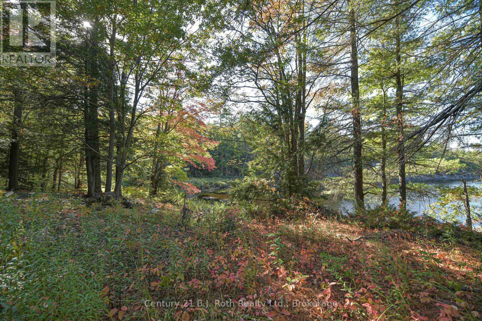 2 - 1112 Sam Cook Road, Gravenhurst, Ontario  P1P 1R3 - Photo 14 - X13122590