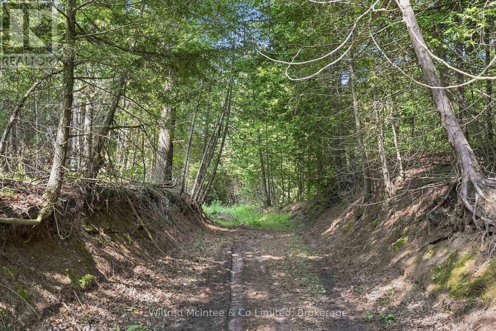 381612 Con 4 Ndr Road, West Grey, Ontario  N4N 3B9 - Photo 10 - X13682596