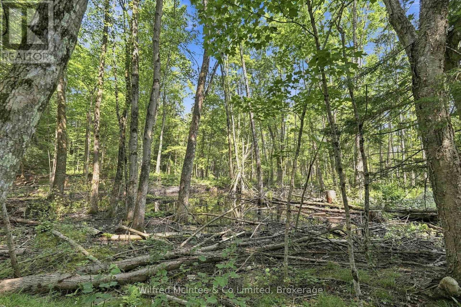 381612 Con 4 Ndr Road, West Grey, Ontario  N4N 3B9 - Photo 11 - X13682596