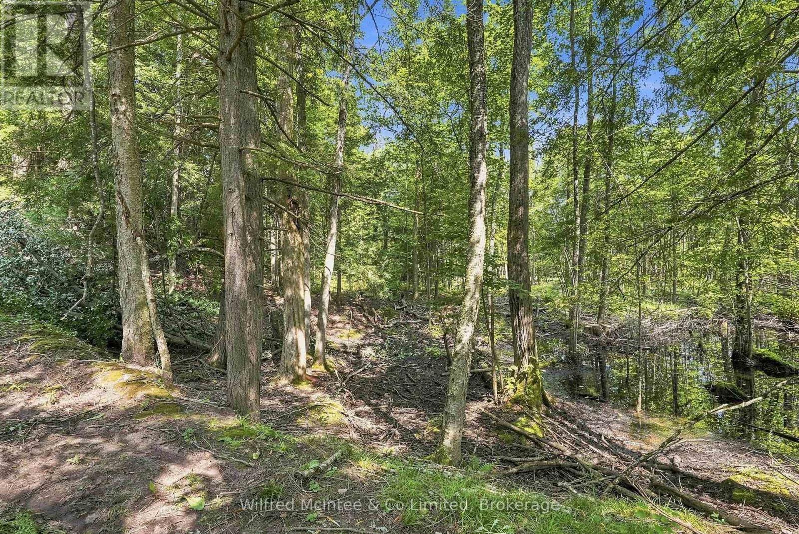 381612 Con 4 Ndr Road, West Grey, Ontario  N4N 3B9 - Photo 13 - X13682596