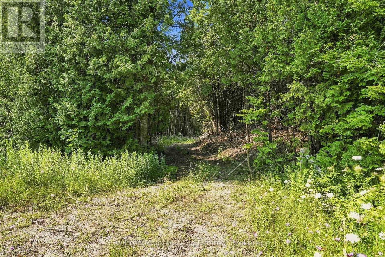 381612 Con 4 Ndr Road, West Grey, Ontario  N4N 3B9 - Photo 7 - X13682596