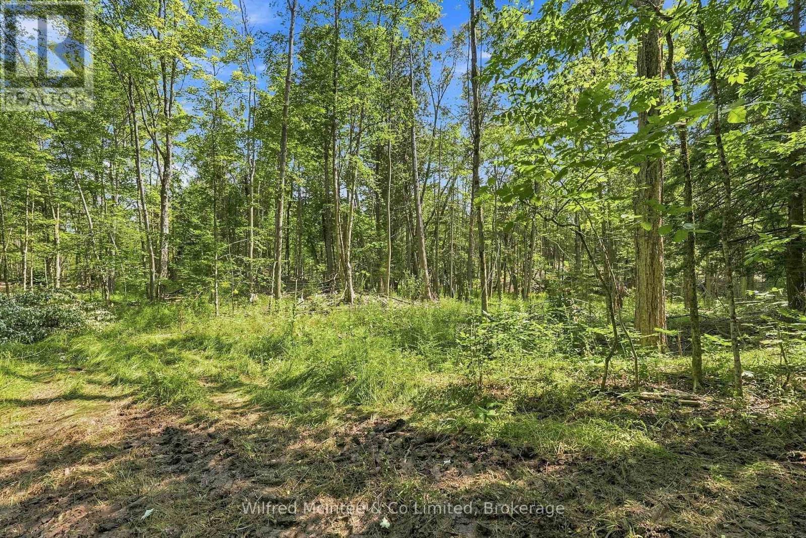 381612 Con 4 Ndr Road, West Grey, Ontario  N4N 3B9 - Photo 8 - X13682596