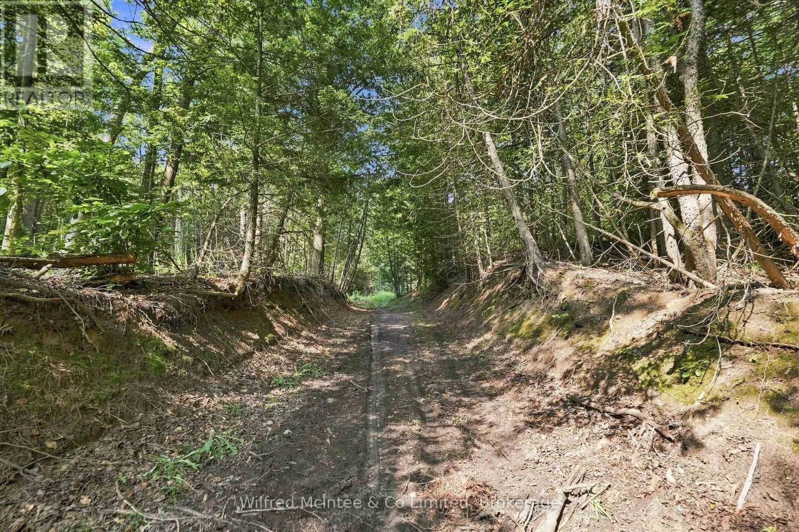 381612 Con 4 Ndr Road, West Grey, Ontario  N4N 3B9 - Photo 9 - X13682596